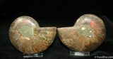 Inch Polished Pair From Madagascar #1067-2